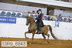 13r9_6843 proof