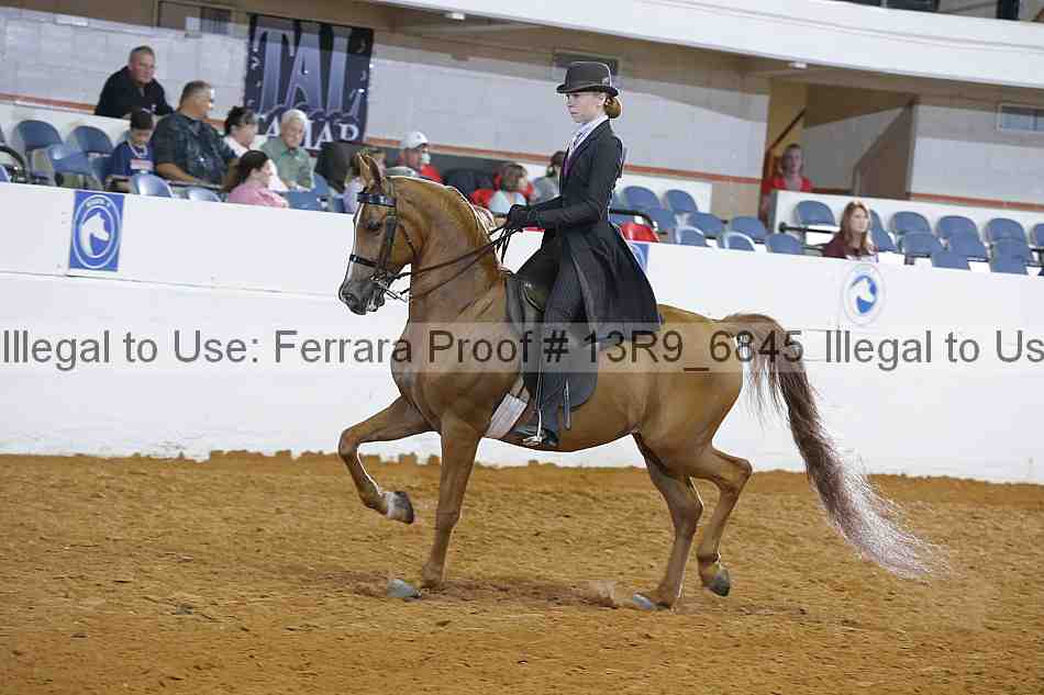 Proof 13r9_6845