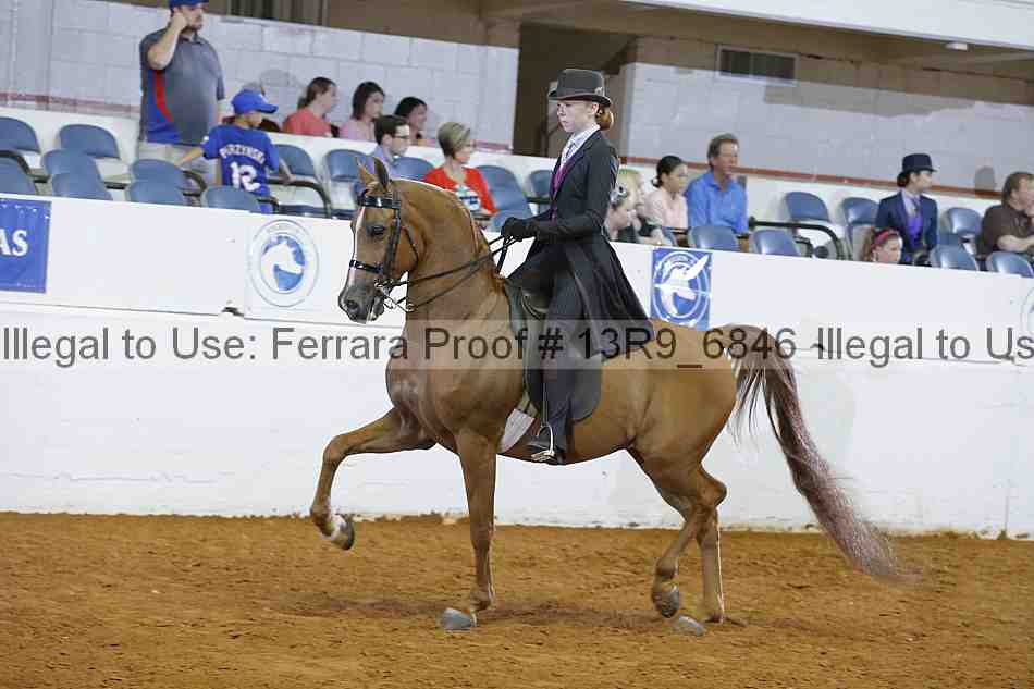 Proof 13r9_6846