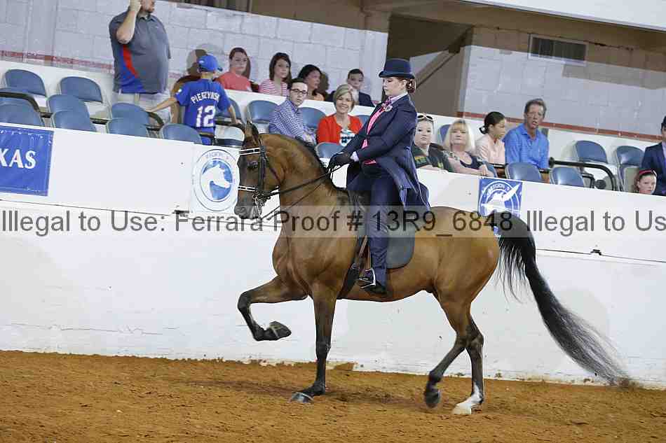 Proof 13r9_6848