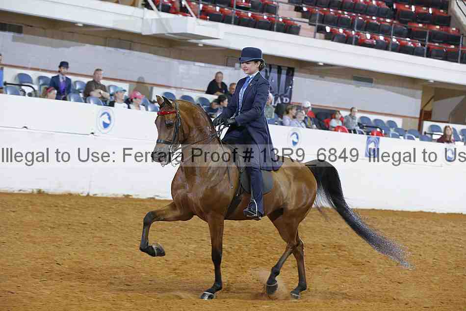 Proof 13r9_6849