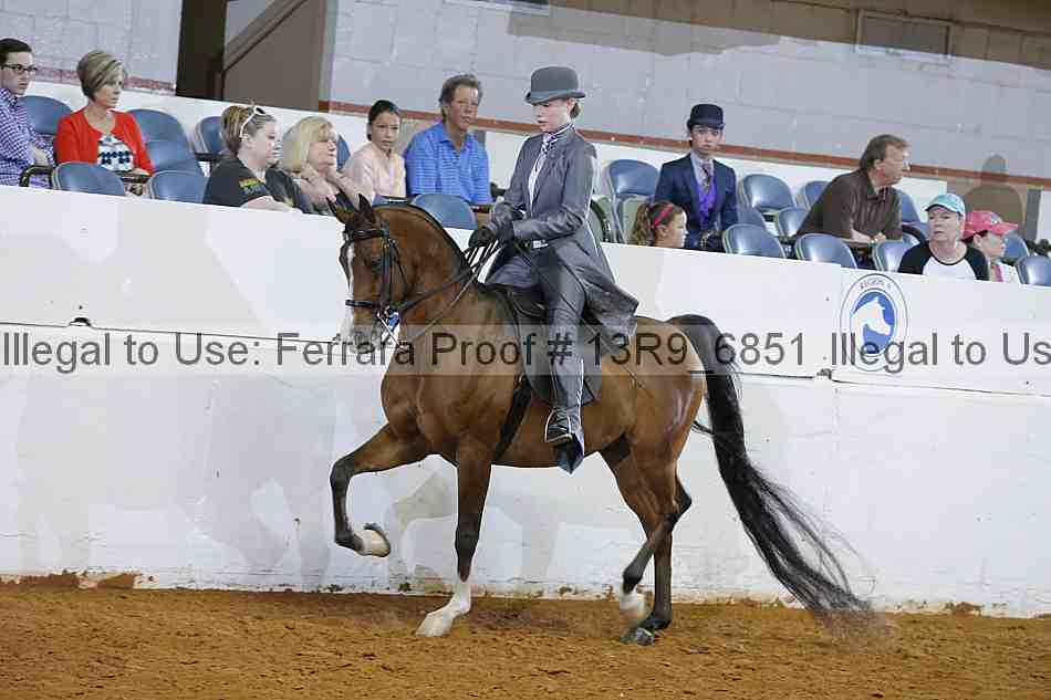 Proof 13r9_6851