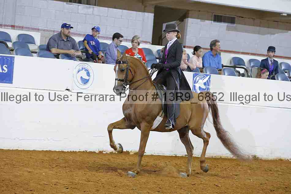 Proof 13r9_6852