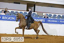 13r9_6853 proof