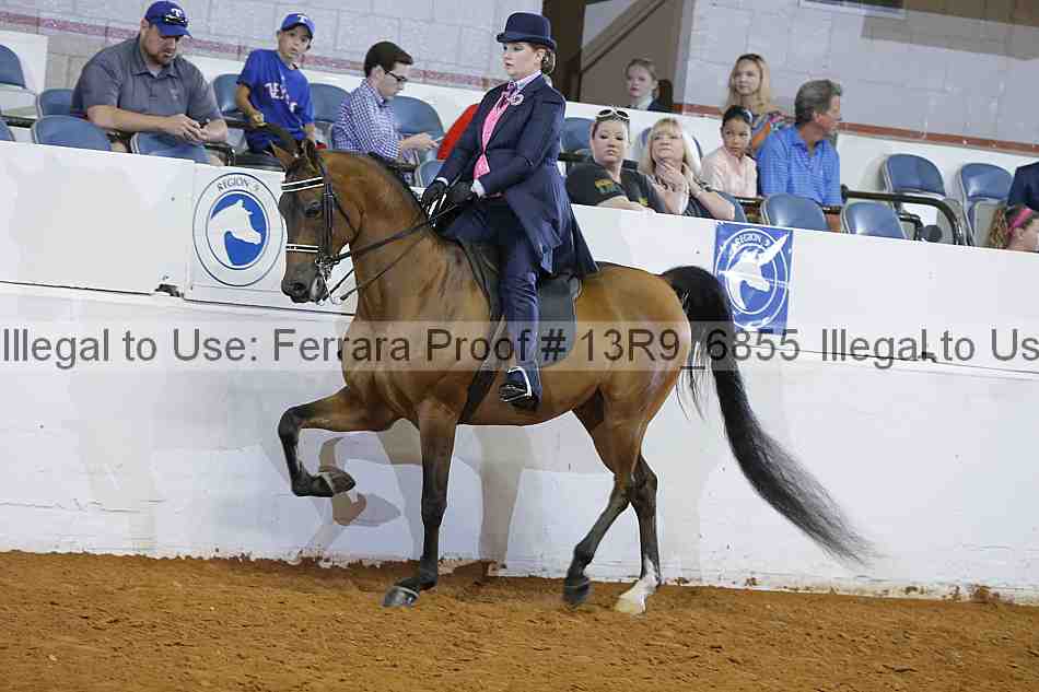 Proof 13r9_6855