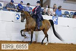 13r9_6855 proof