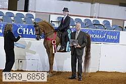 13r9_6858 proof