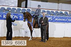 13r9_6863 proof