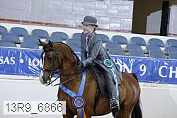 13r9_6866 proof