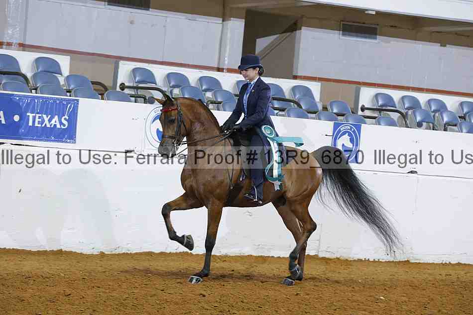 Proof 13r9_6870