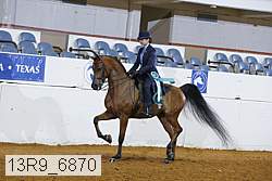13r9_6870 proof