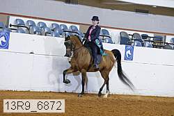 13r9_6872 proof