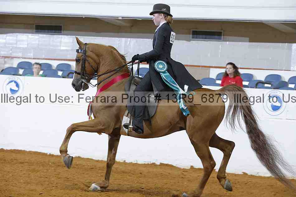 Proof 13r9_6879