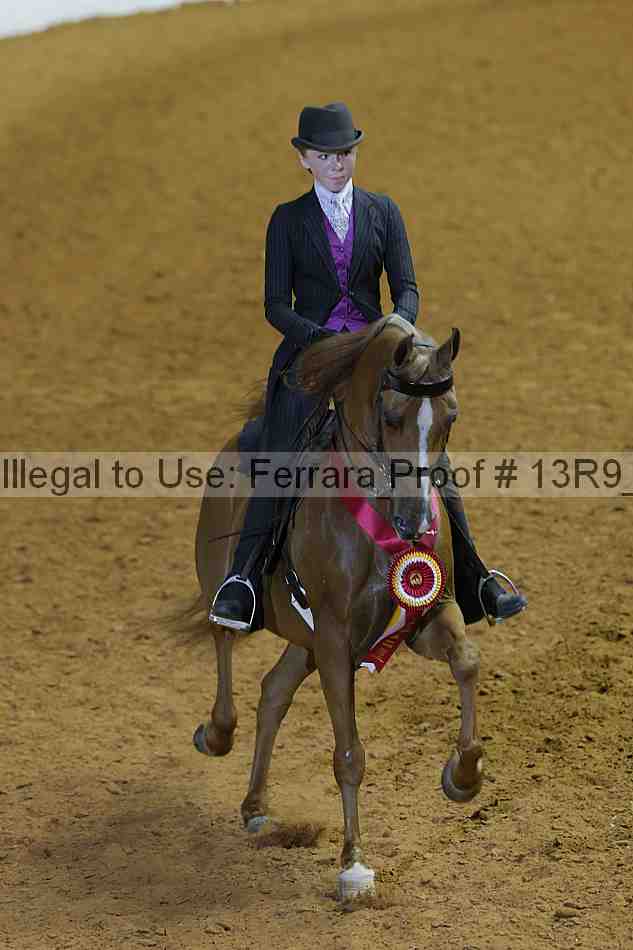Proof 13r9_6880