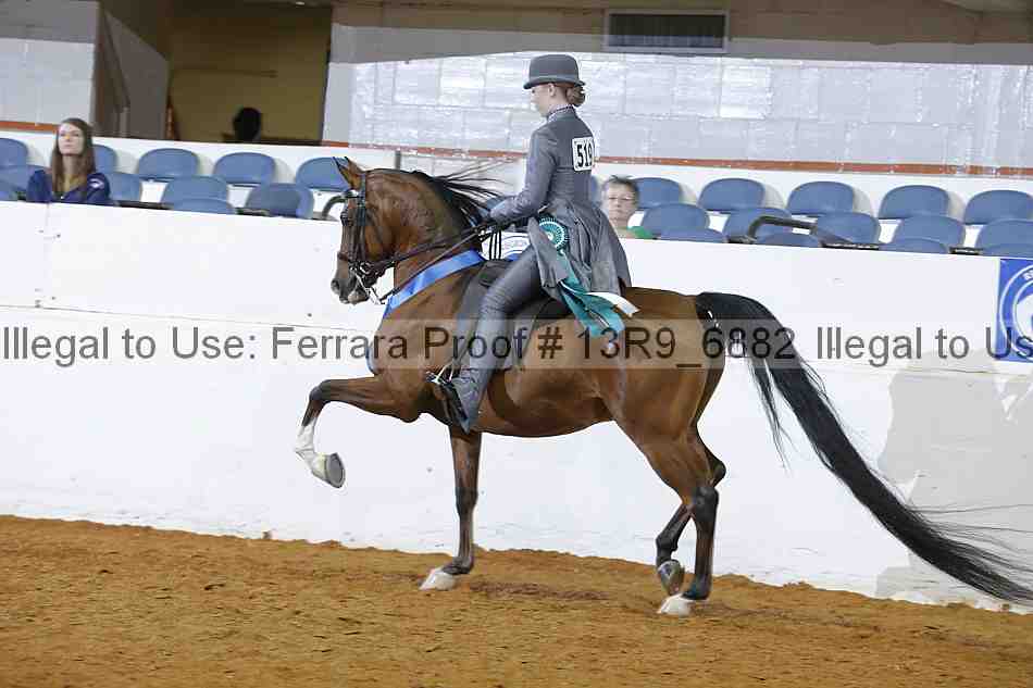Proof 13r9_6882