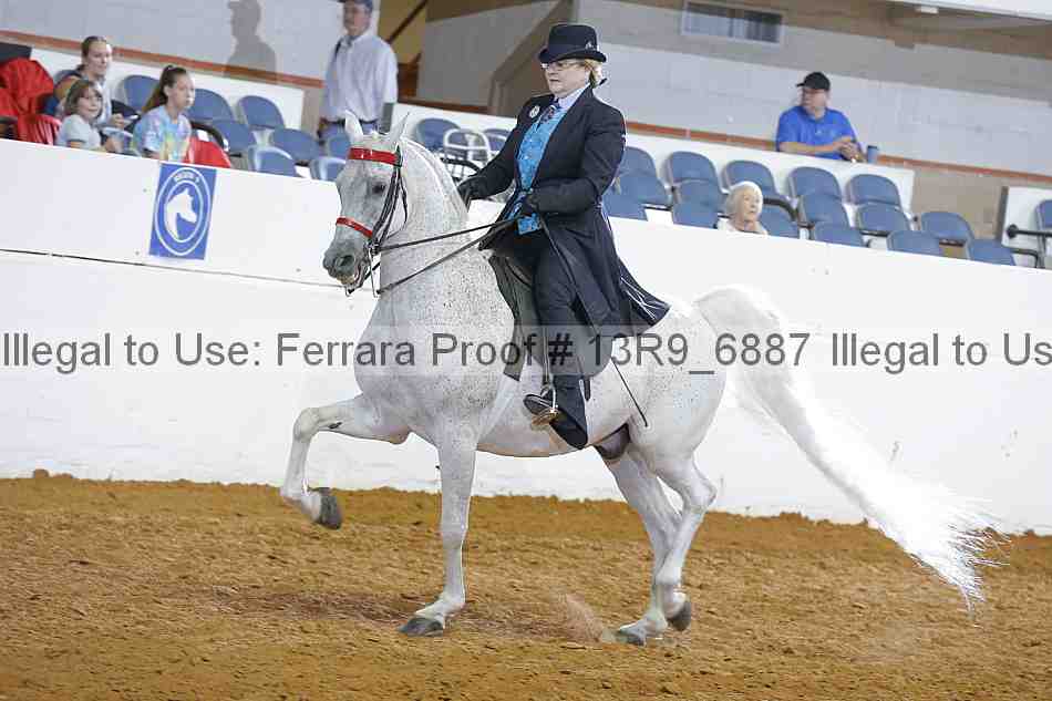 Proof 13r9_6887