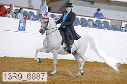 13r9_6887 proof