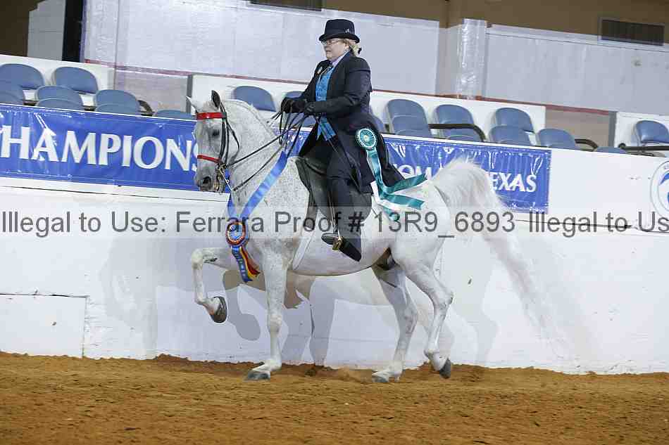 Proof 13r9_6893