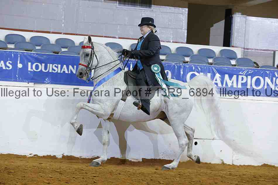 Proof 13r9_6894