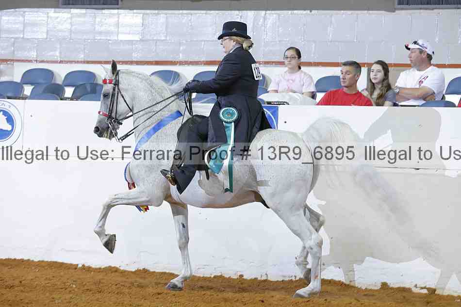 Proof 13r9_6895