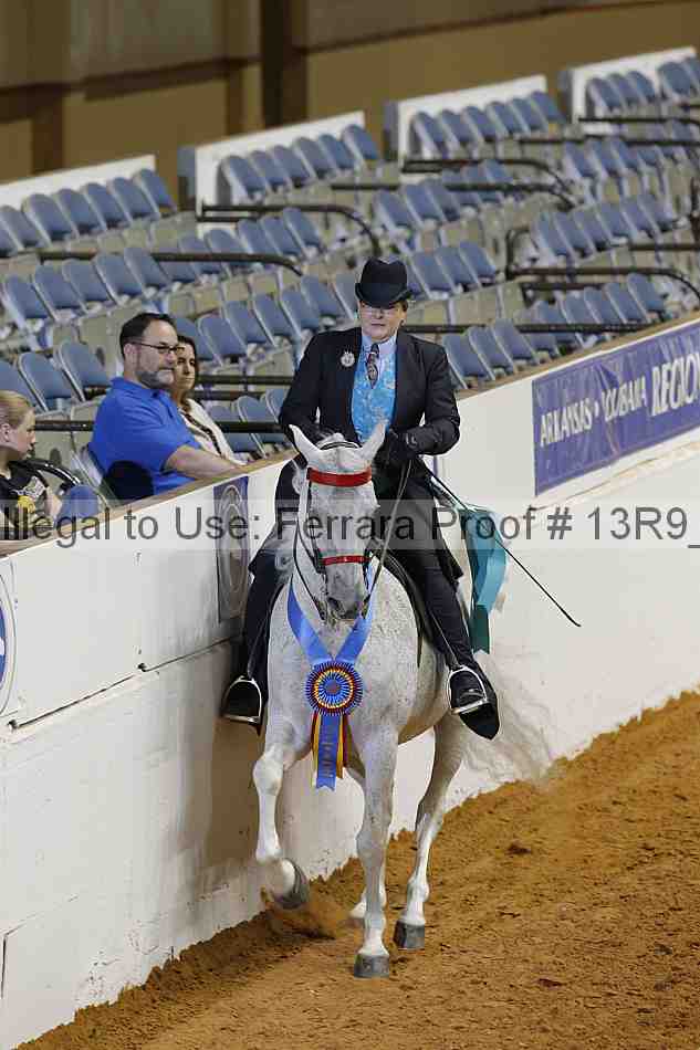 Proof 13r9_6897