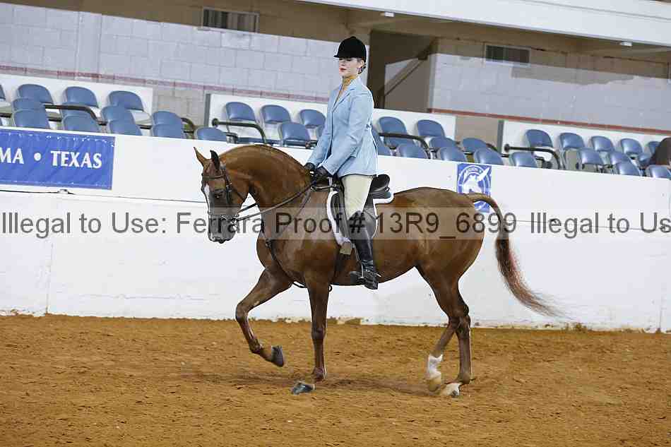 Proof 13r9_6899