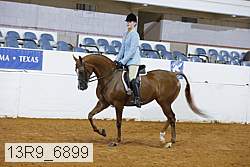 13r9_6899 proof