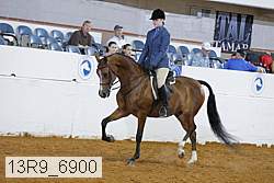 13r9_6900 proof