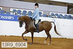 13r9_6904 proof