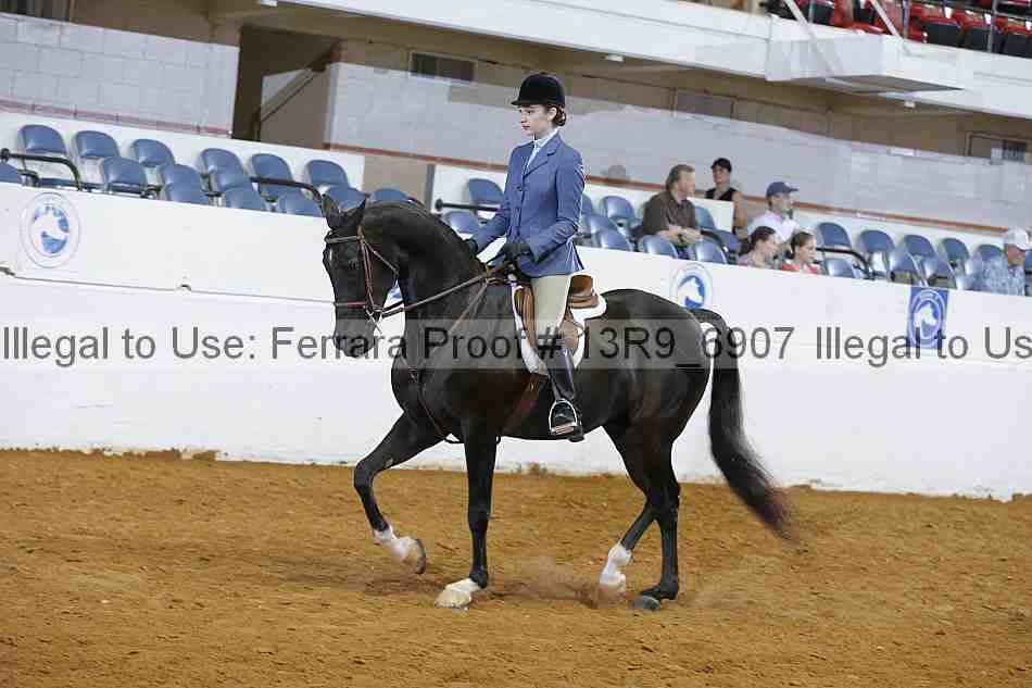 Proof 13r9_6907
