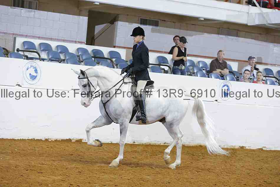 Proof 13r9_6910