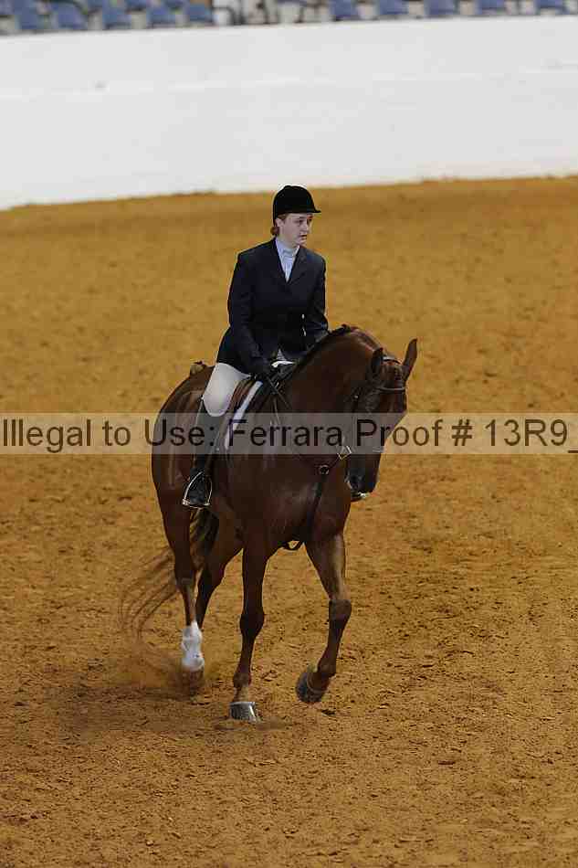 Proof 13r9_6911