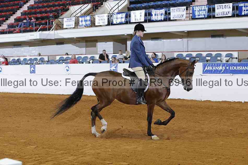 Proof 13r9_6916