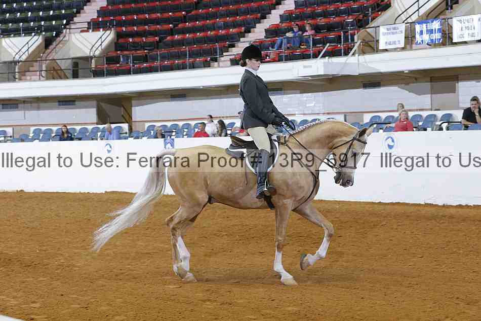 Proof 13r9_6917