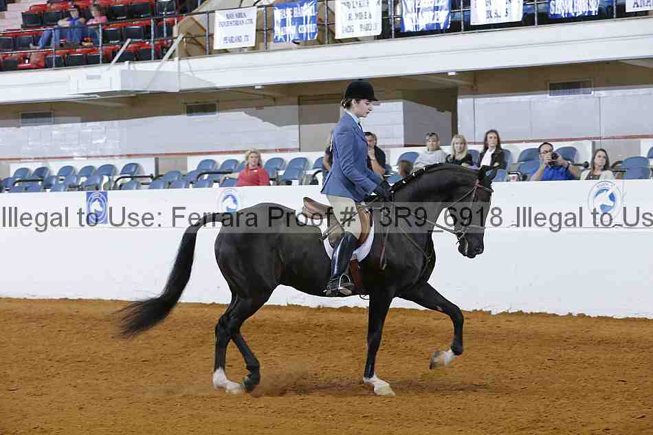 Proof 13r9_6918