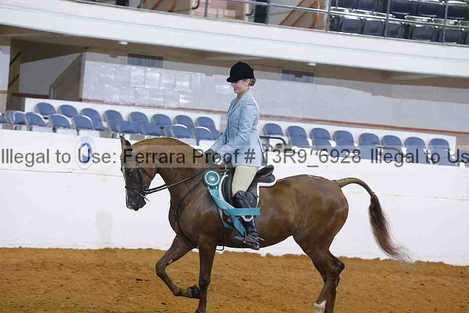 Proof 13r9_6928