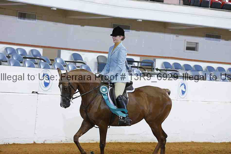 Proof 13r9_6929