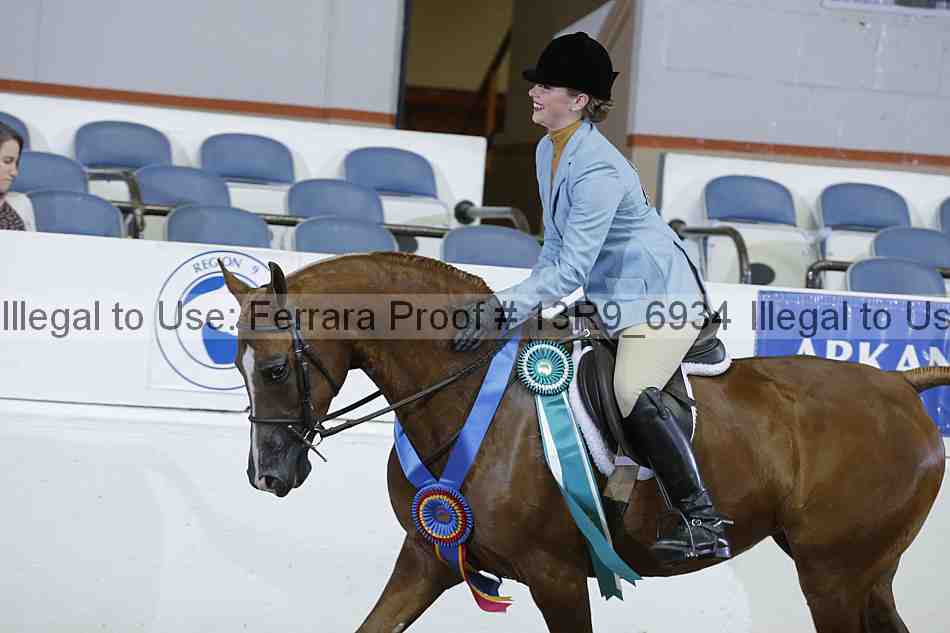 Proof 13r9_6934