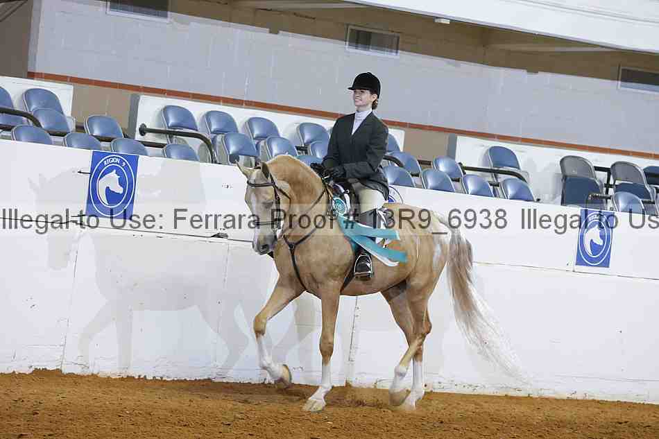 Proof 13r9_6938