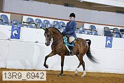 13r9_6942 proof