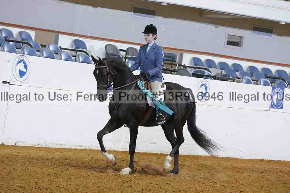 Proof 13r9_6946