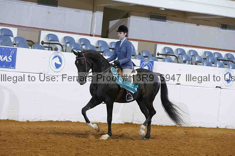 Proof 13r9_6947