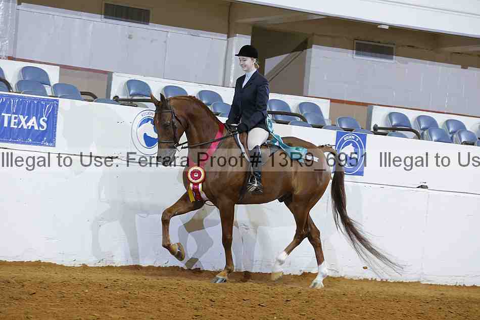 Proof 13r9_6951