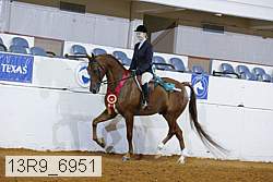 13r9_6951 proof