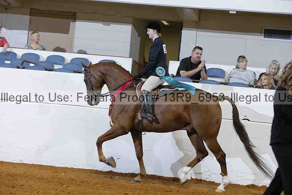 Proof 13r9_6953