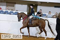 13r9_6953 proof