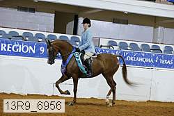 13r9_6956 proof