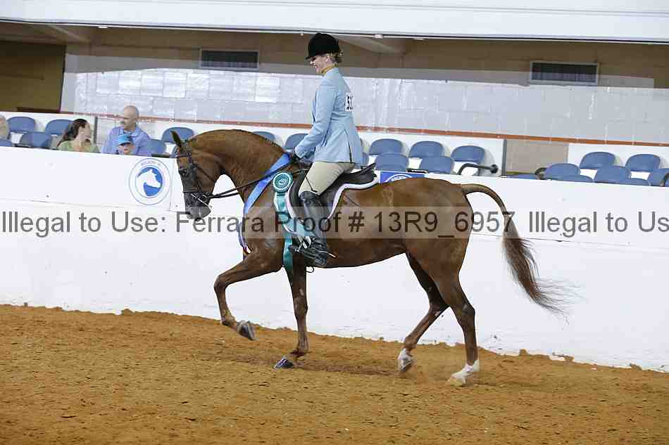 Proof 13r9_6957