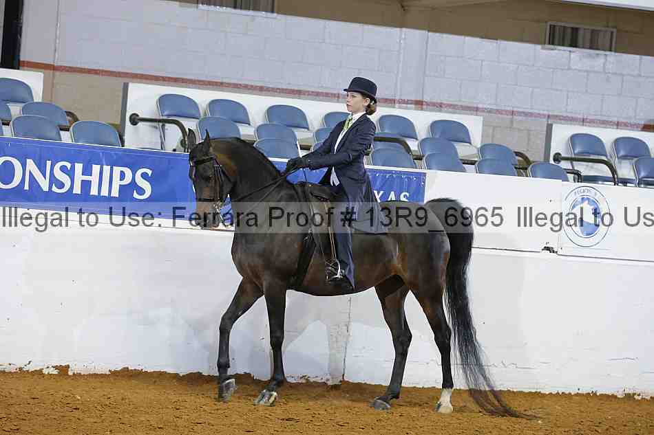 Proof 13r9_6965