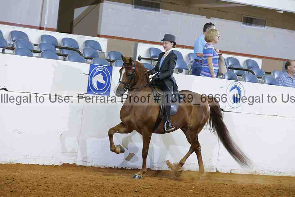 Proof 13r9_6966